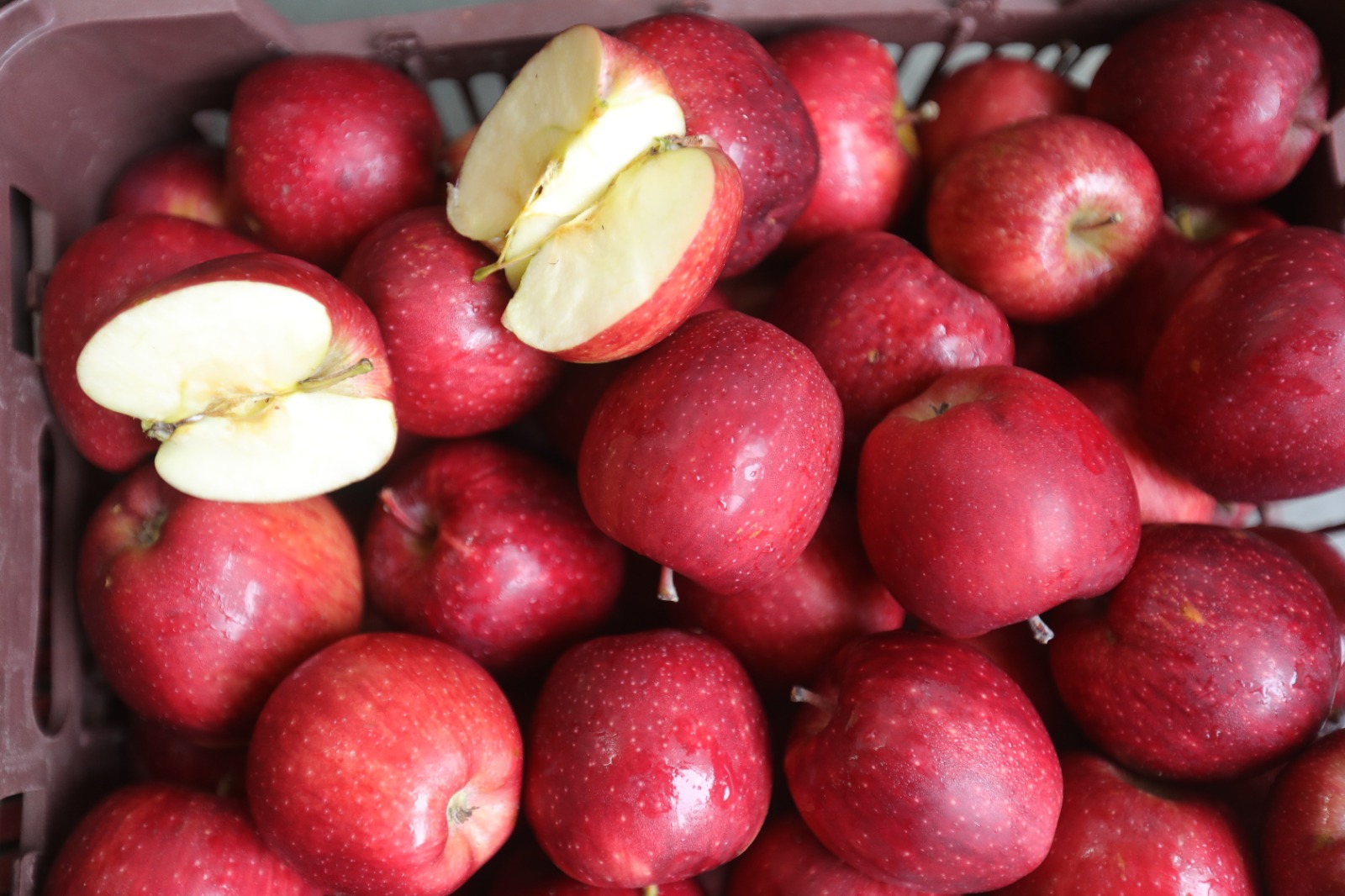 Irayan Apples - Packaging